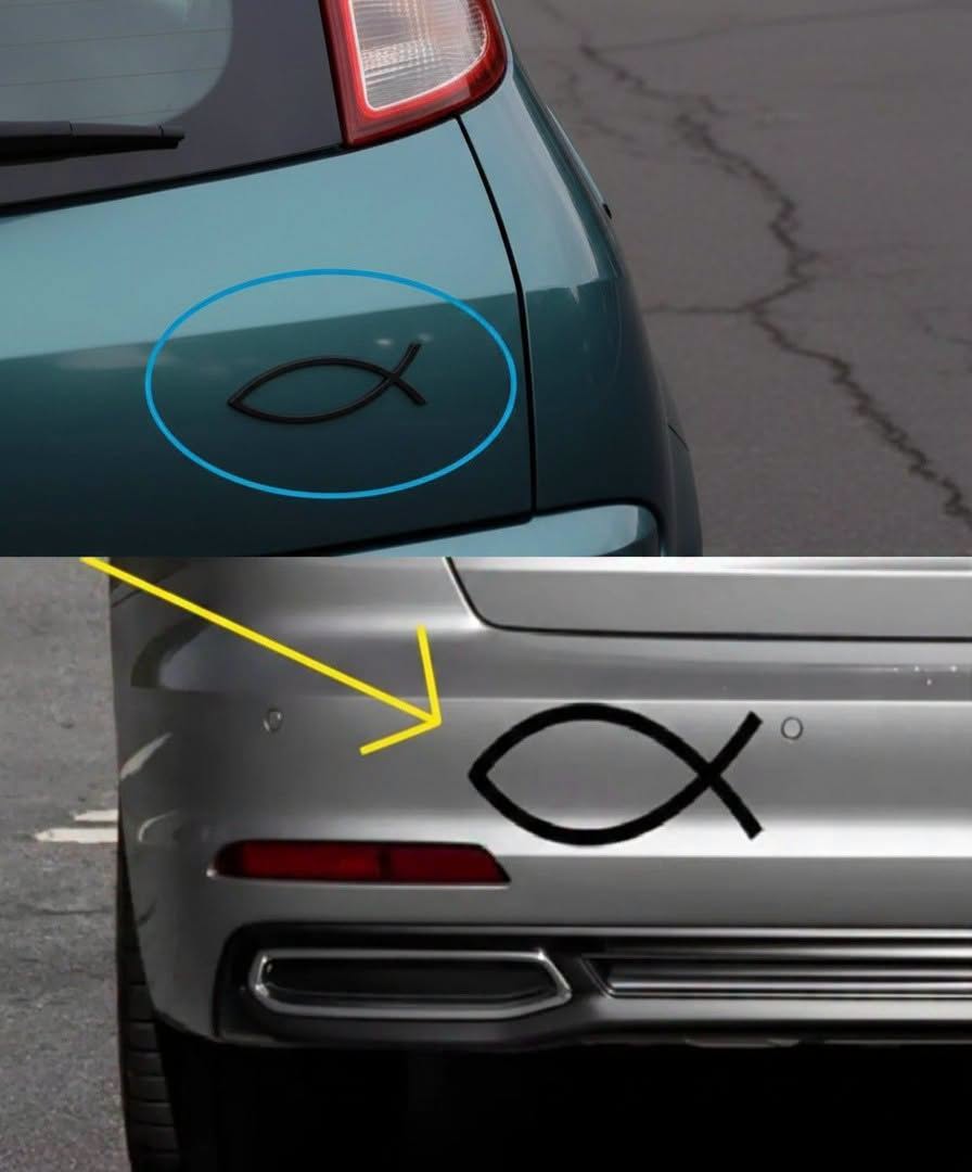 What does the small fish-shaped symbol on the back of some cars mean and what is it for? read more in coomment⬇️