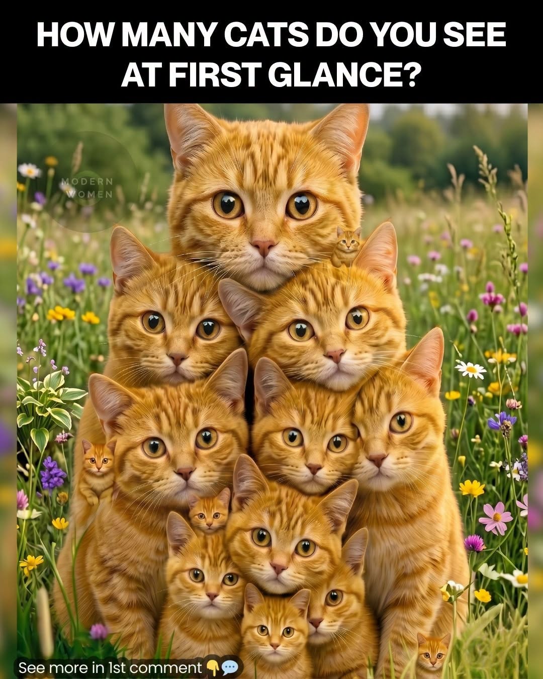 How Many Cats Can You Spot …The Viral Optical Illusion That’s Driving the Internet Crazy Find Out The Answer In the coʍmеոτs ⬇️