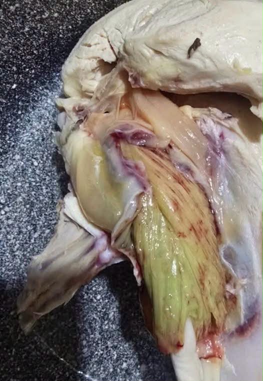Seeing Green Chicken Does Not Always Mean the Same Thing