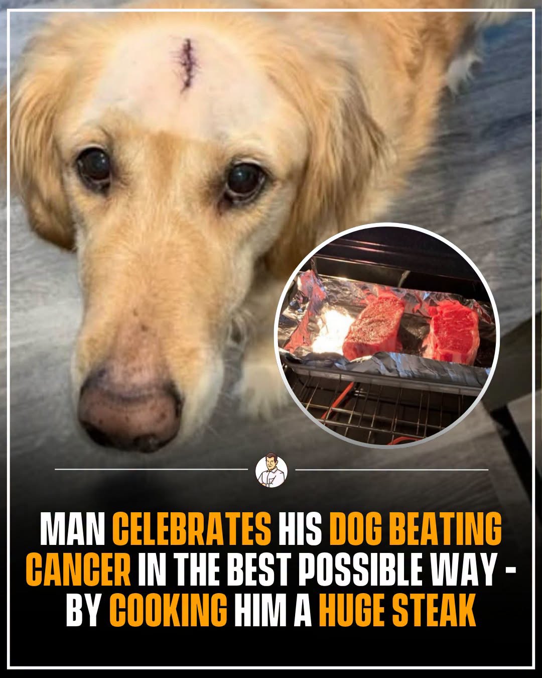 Sometimes the best news deserves the best dinner. ❤️🐶  In March 2019, Texas sportswriter Matt Galatzan received the news every dog owner facing cancer hopes to hear:  His dog, Scar, had been declared cancer free.  So Matt decided his best friend deserved a proper celebration.  He bought Scar a steak and took the time to reverse sear it – slowly cooking it first before finishing it at high heat to give it the perfect crust.  Matt shared a photo of the steak with the simple explanation that Scar had beaten cancer that day, calling him TheRealMVP.  And yes, when people inevitably asked, Matt confirmed that Scar thoroughly enjoyed his victory dinner.  The photo has continued resurfacing online for years, even after Scar sadly passed away.  But perhaps that’s why people still love it.  It’s a little snapshot of one very good day between a man and his best friend – and a reminder that when you get the chance to celebrate the ones you love, make them the steak. ❤️🐶