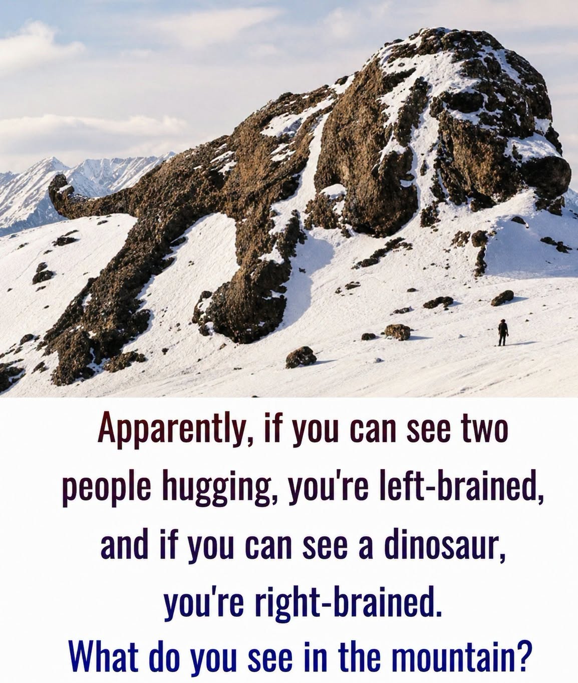 Visual brain-scan challenge…