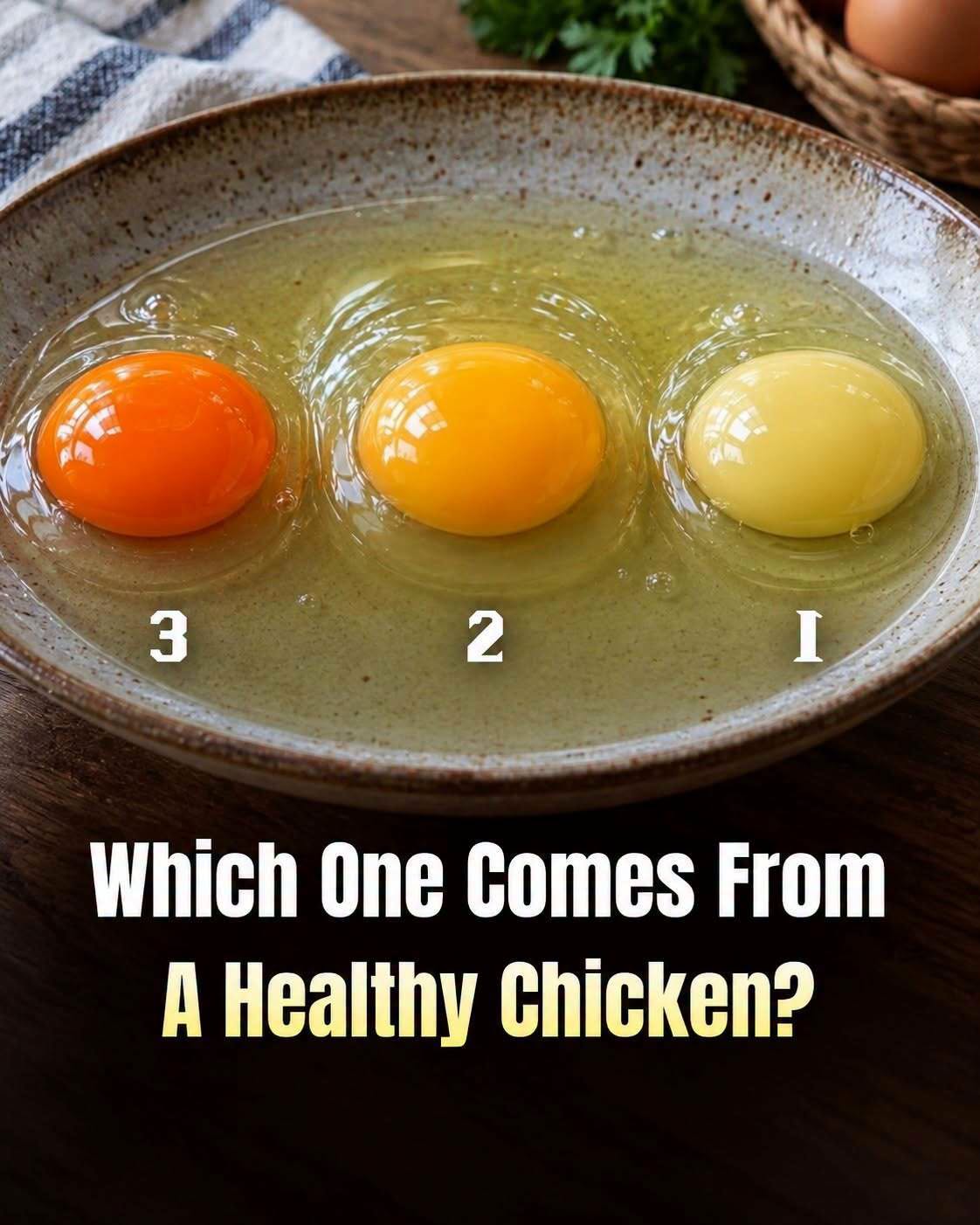 Which Egg Is From The Healthiest Chicken? Choose 1, 2, Or 3 Before Seeing The Answer! 🥚👇 ᅠ͏