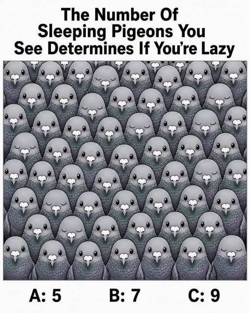 The Number Of Sleeping Pigeons You See Determines If You’re Lazy